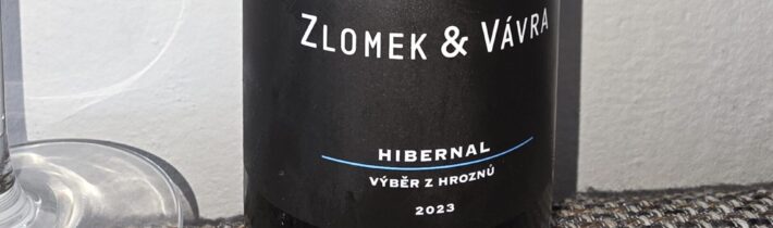 Hibernal 2023, grape selection, winery Zlomek and Vávra, Moravia, Czech Republic