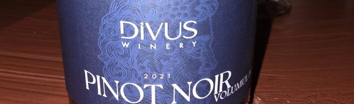 Pinot Noir 2021, винодельня Divus, Республика Молдова