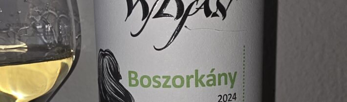 Boszorkány 2024, винодельня Vylyan Pincészet, Villány, Венгрия